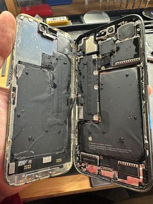 iPhone water damage repair