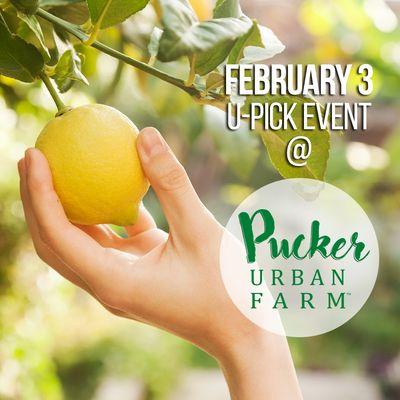 Pucker Urban Farm - Open Farm Experience