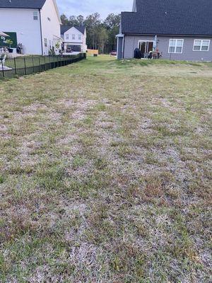 Wayside Landscapes And Supply