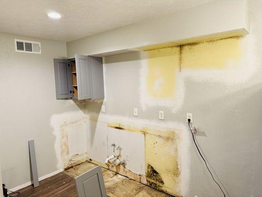 El Búho Painting & Remodeling