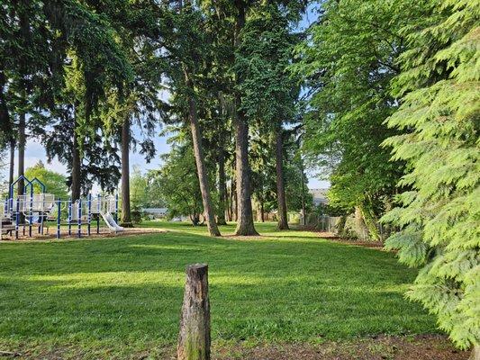 Holy Apostles Orthodox Christian Church