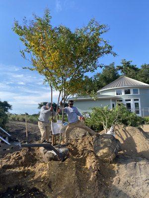 Parker's Landscape Services