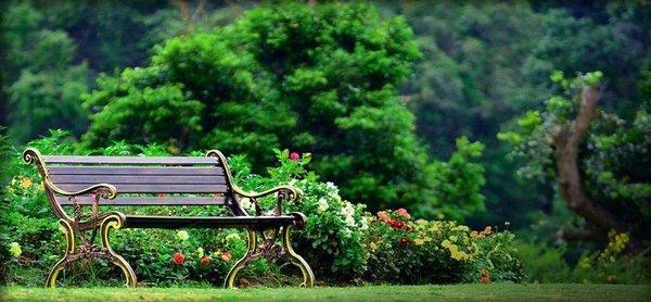 Artisan Landscape Group