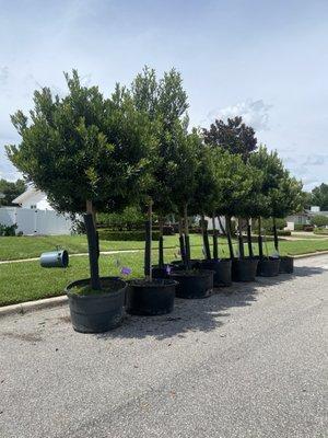 R&J Landscaping Services