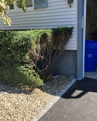 Prime, Paving And Masonry