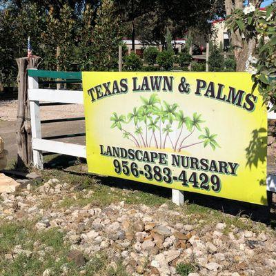 Texas Lawns & Palms