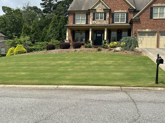 Live Oaks Landscapes
