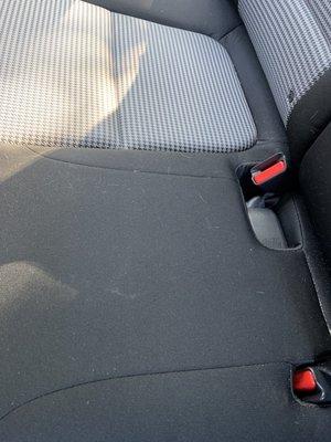 This is the dog hair that got him so worked up.