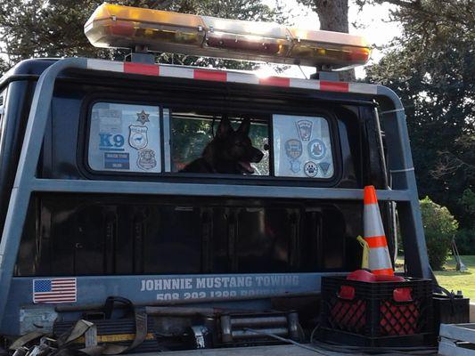 cash paid for junk cars and P P impounding available