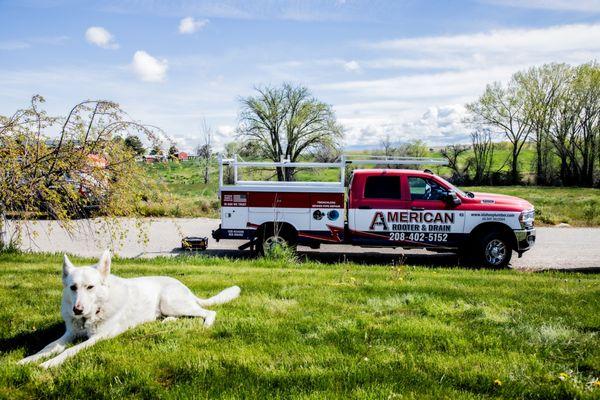 American Rooter & Drain