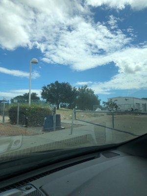 Homeless Animals Lifeline Organization