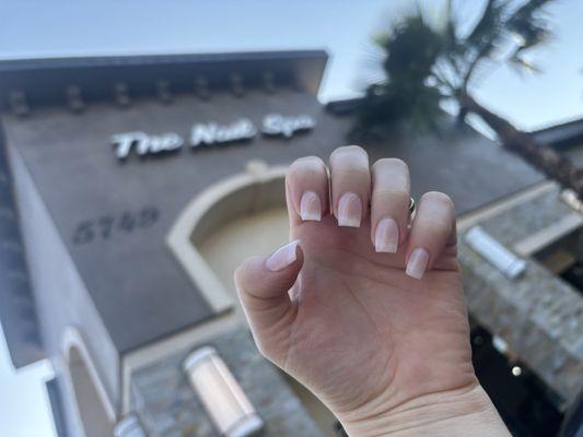 The Nail Spa