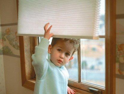 Blinds Max / Wall Paper Wholesaler