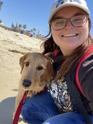 The Comforted Canine