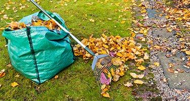 Alexis and Rylan Cleaning Services