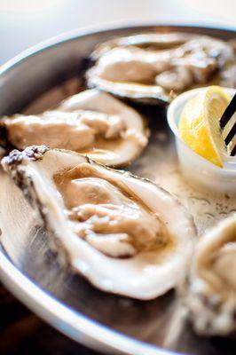 Kaila Bruner Photography