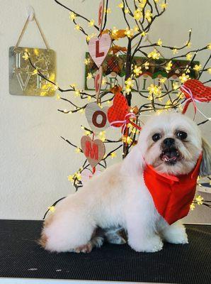 Thank you for coming Milo