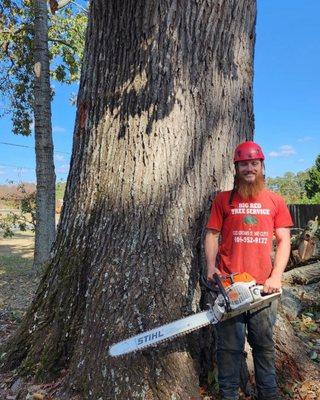 Big Red Tree Service