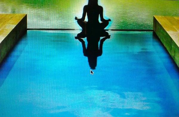 Neat Freak Design Group