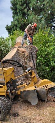 Portland Stump Grinding