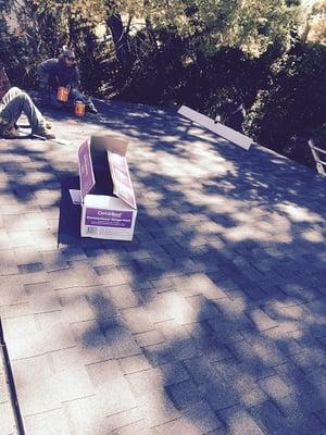 Thomas Burke Roofing & Gutters