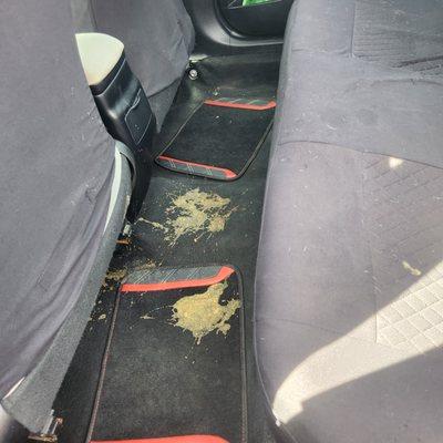 Ray's Mobile Detail Service