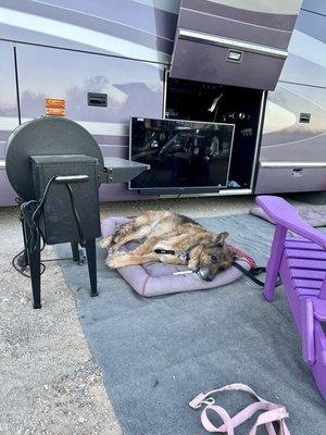 Desert Gardens Rv Park