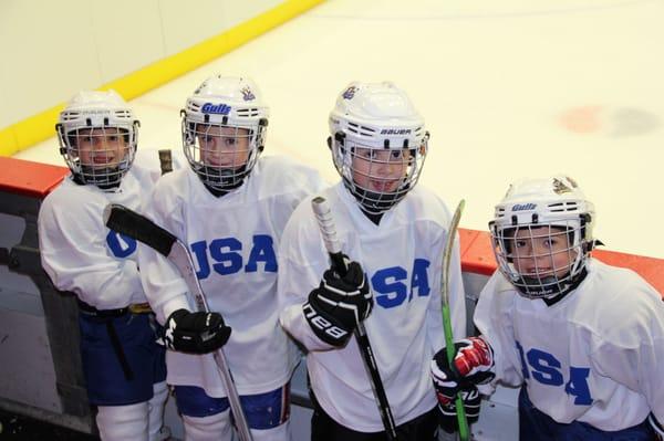 Long Island Sports Hub