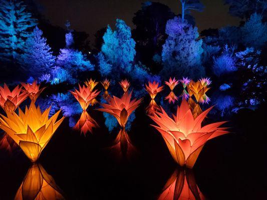 Art and light displays along the trail