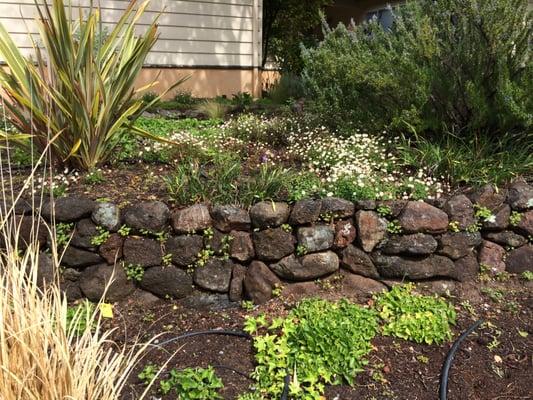 Marin Home Restorations