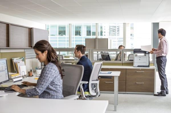 Lewis & Lewis Computer Store