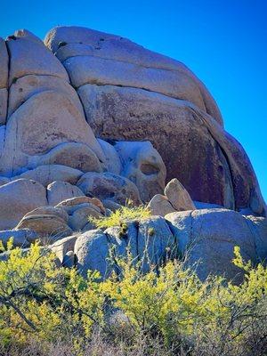 Looks like another skull peeking out at me haha! (Views from the trails around Skull Rock)