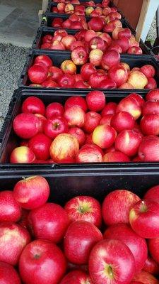 Hoopers Orchard