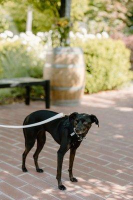 Katelyn Bradley Photography