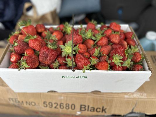 Schaefer's Farm Market & CSA