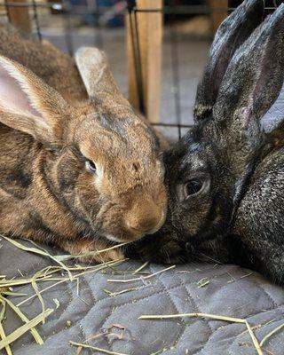 RRR Cleaning Services