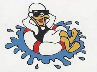 Our Logo. Paradise Pool Service & Repairs