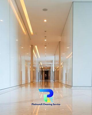 PlatinumX Cleaning Service