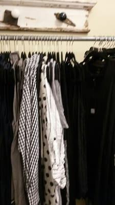 Pigeon In the Parlour