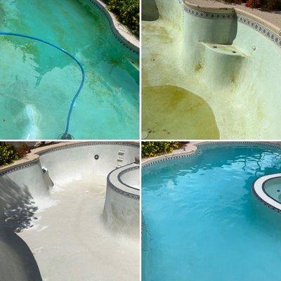 Blue Dream Pool Maintenance
