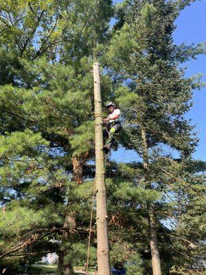 Adam’s Outdoor Services Plus