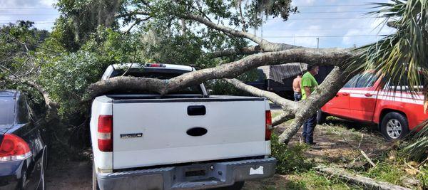 SBS Handyman Services