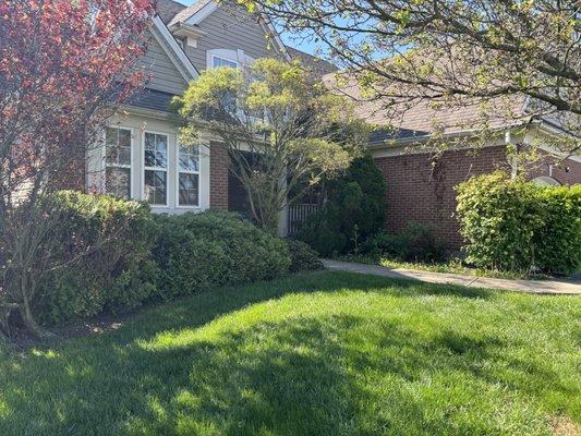 All Around the House Home Services