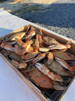Danny's Soft Crabs