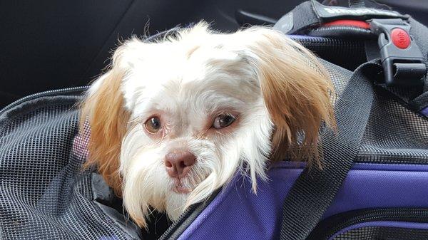 Furry Friends KR Farm