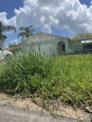 A&G Lawnz