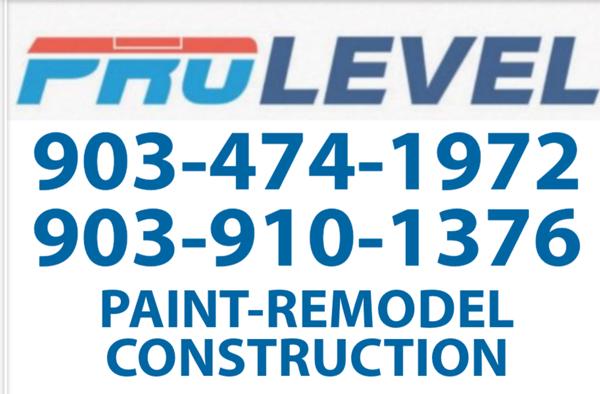 ProLevel Construction