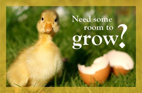 Chante Blue-Better Homes and Gardens