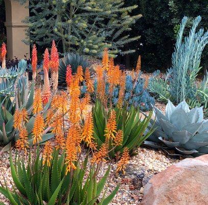 Taylor's Landscape Design