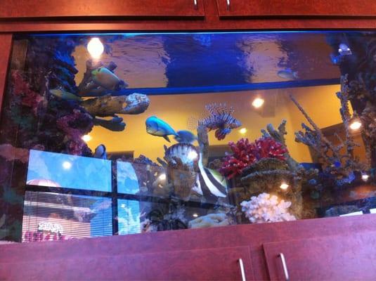 Paradise Family Dental